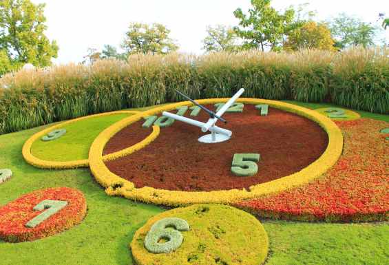 Condor-travel-Heart-of-Europe-Geneva-Flower-clock